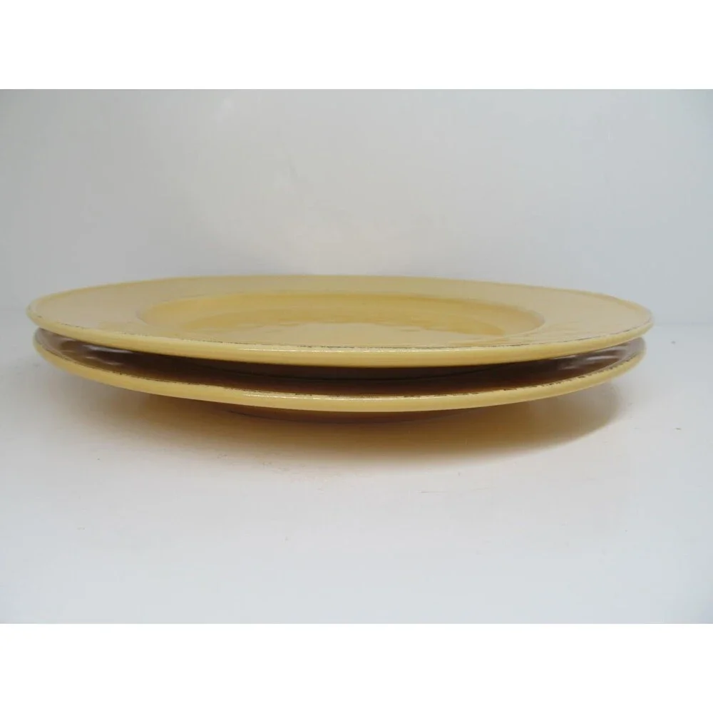 Pier 1 Mango Yellow Rustic 10 3/4